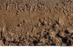 Ground Soil